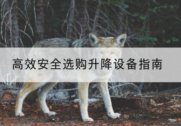 阜平升降货梯厂家推荐-*安全选购升降设备指南