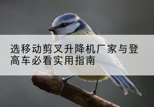 阜平电动升降机厂家-选移动剪叉升降机厂家与登高车必看实用指南